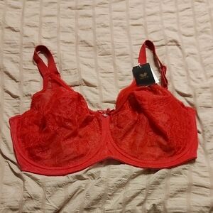 Wacoal Scarlet Lace Bra